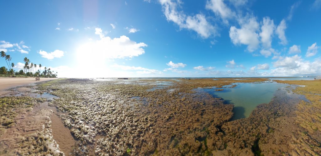 Shot of the beach and sea in the Brazilian northeast.