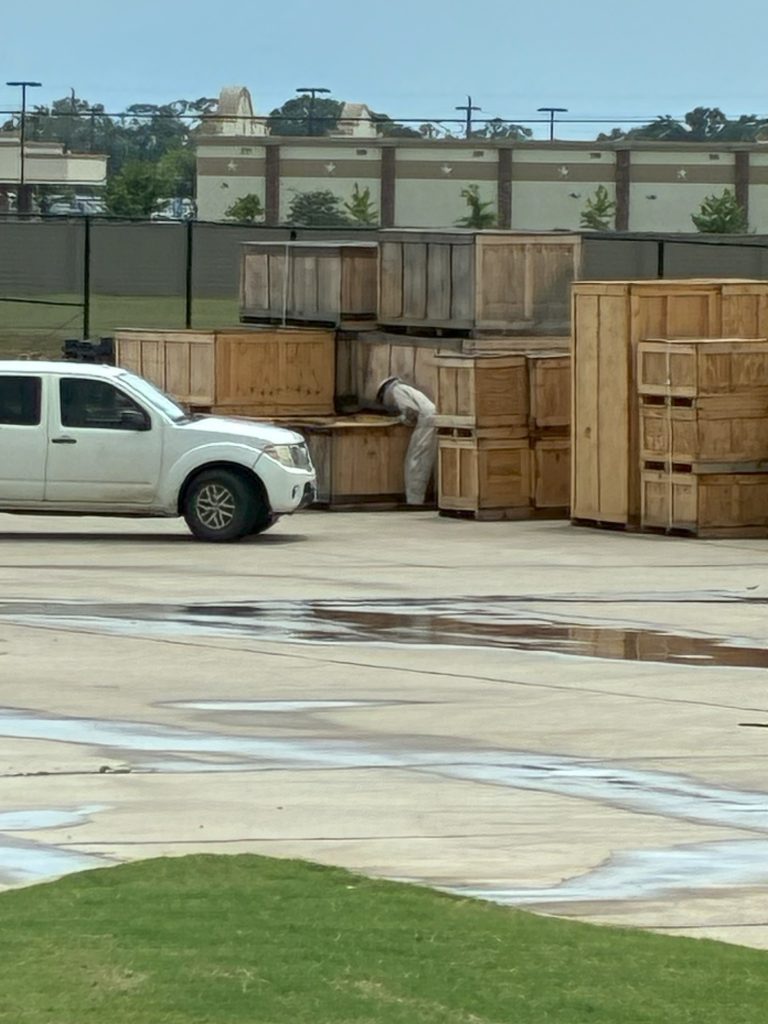 View of the pallet storage area at the Pepperl+Fuchs site in Katy. A person wearing a beekeeper suit is leaning over one of the boxes.